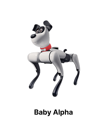 베이비 알파 Baby Alpha