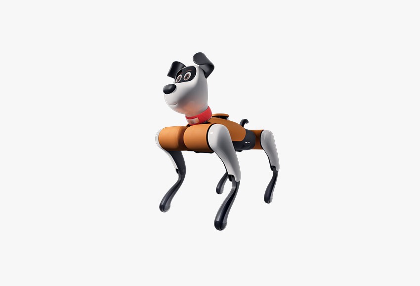 베이비 알파 Baby Alpha